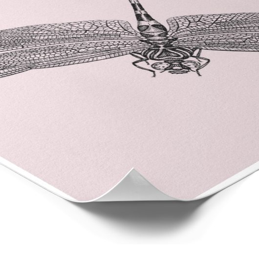 トンボ ポスター (角)