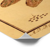 トンボ ポスター (角)