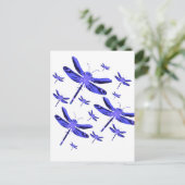 トンボ ポストカード (スタンド正面)