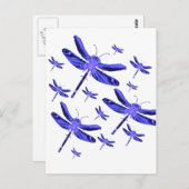 トンボ ポストカード (正面/裏面)