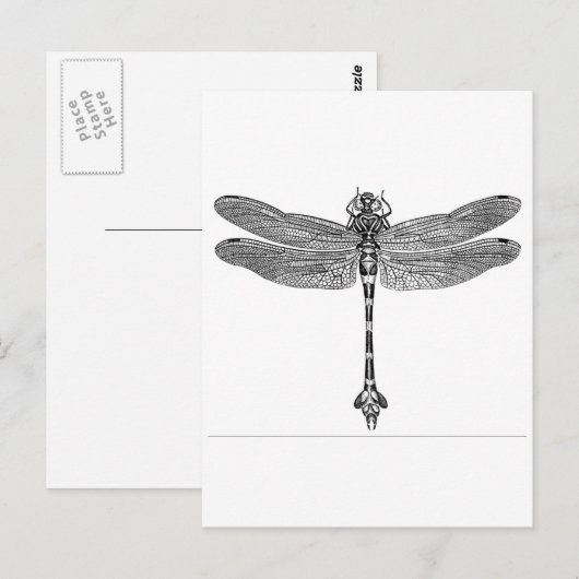 トンボ ポストカード (正面/裏面)
