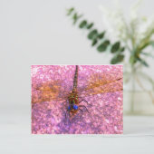 トンボ ポストカード (スタンド正面)