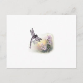 トンボ ポストカード