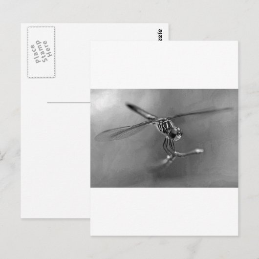 トンボ ポストカード (正面/裏面)