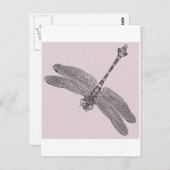 トンボ ポストカード (正面/裏面)