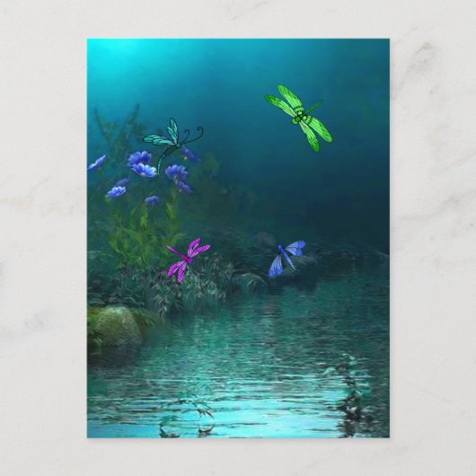 トンボ ポストカード (正面)