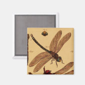 トンボ マグネット (正面/裏面)