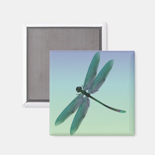 トンボ マグネット (正面/裏面)