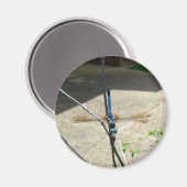 トンボ マグネット (正面/裏面)