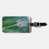 トンボ ラゲッジタグ (正面横)