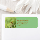 トンボ ラベル (インサイチュ)