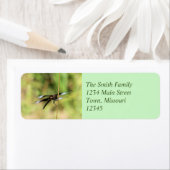 トンボ ラベル (インサイチュ)