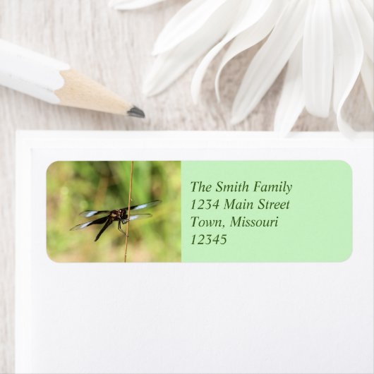 トンボ ラベル (インサイチュ)