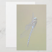 トンボ 便箋 (正面/裏面)