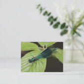 トンボ 名刺 (スタンド正面)