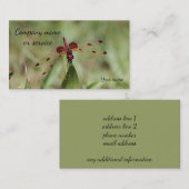 トンボ 名刺 (正面/裏面)