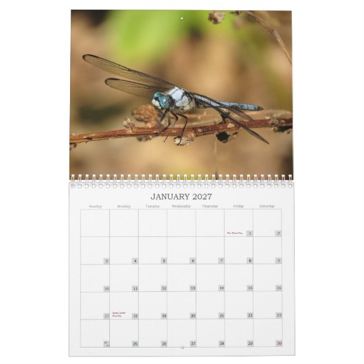 トンボ-空気2013カレンダーの宝石 カレンダー (1月 2027)