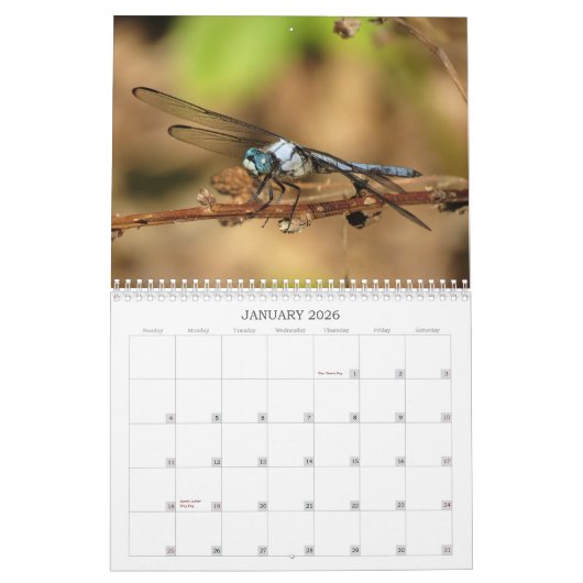 トンボ-空気2013カレンダーの宝石 カレンダー (1月 2026)