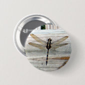 トンボ 缶バッジ (正面&裏面)