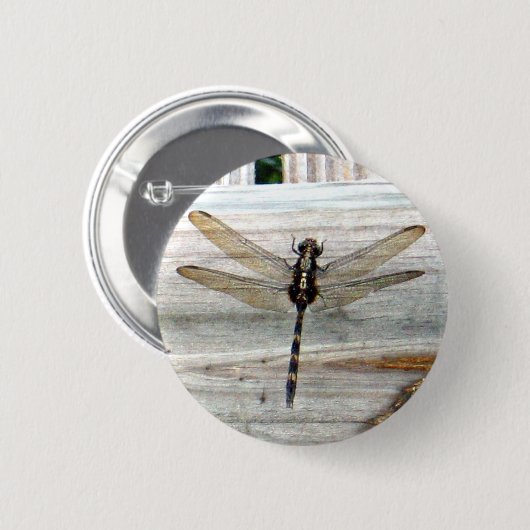トンボ 缶バッジ (正面&裏面)