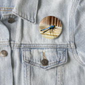 トンボ 缶バッジ (インサイチュ)