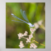 トンボ#2 ポスター (正面)