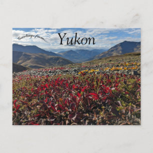 トンムストーンテリトリームパークドーソンYukon Canada ポストカード
