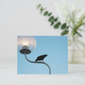 トーキングクロウハガキ ポストカード (スタンド正面)