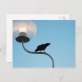 トーキングクロウハガキ ポストカード (正面/裏面)