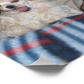 トーキングタントイプードルパピー ポスター (角)