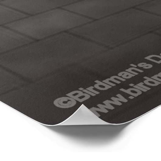 トース_月神 ポスター (角)