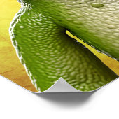 トータリー素晴らし ポスター (角)