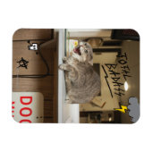 トータルバッドキャット マグネット (横)