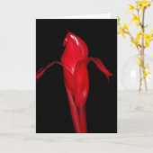 トーチのショウガ カード (黄色い花)