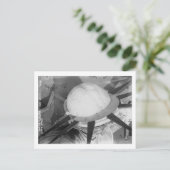 トーチのヴィンテージからの頭部の上自由の女神 ポストカード (スタンド正面)