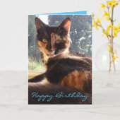 トーチバースデーカード カード (黄色い花)