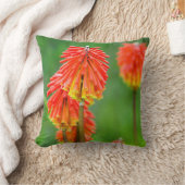 トーチリリー(ニッホフィアウバリア)、西ケープ クッション (ブランケット)