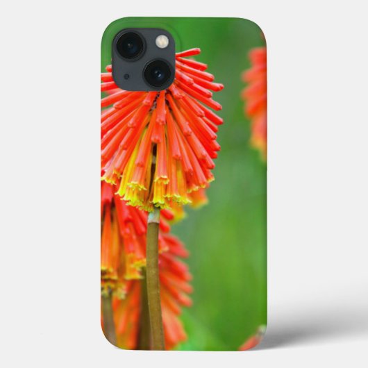 トーチリリー(ニッホフィアウバリア)、西ケープ Case-Mate iPhoneケース (裏面)