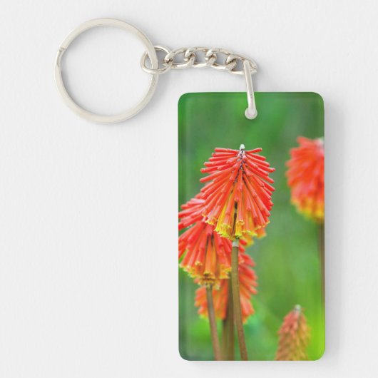 トーチリリー(Kniphofia Uvaria)、ウェスタンケープ州 キーホルダー (正面)