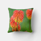 トーチリリー (Kniphofia Uvaria)、西ケープ州 クッション (裏面)