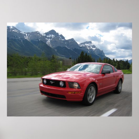 トーチレッド ポスター (正面)