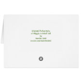 トーティキャットオンガーデンベンチ – 悔やみや弔慰 (裏面横)