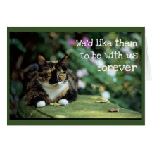 トーティキャットオンガーデンベンチ – 悔やみや弔慰