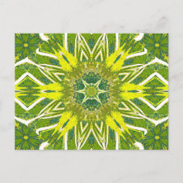 トーテムワイルドフラワー13 ポストカード