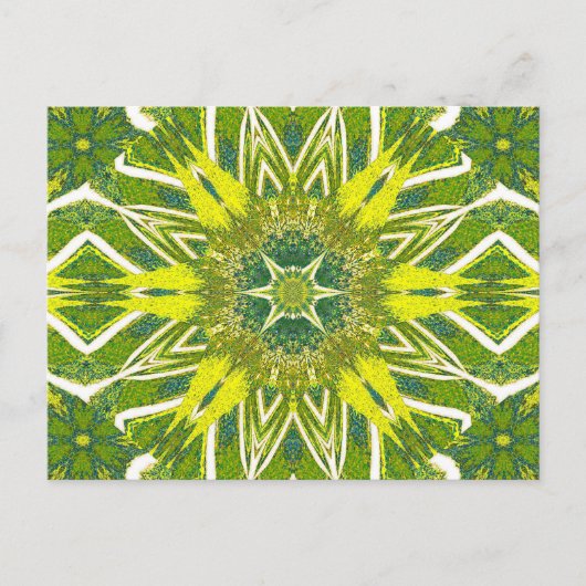 トーテムワイルドフラワー13 ポストカード (正面)