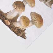 トートスツールの切り離し紙ウッドランド要素 薄葉紙 (詳細)