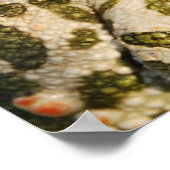 トートポスター ポスター (角)