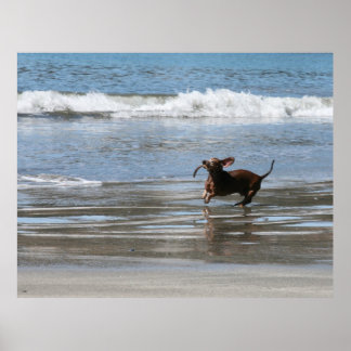 トーナムハリー ポスター