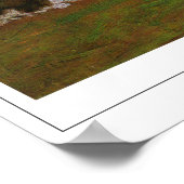 トーマス・エイキンズ・ゼディング・アート・ポスター#65 ポスター (角)