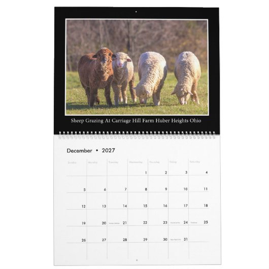トーマス・ミヌトーロによるFarm & Barn Monthly Calendar カレンダー (12月 2027)